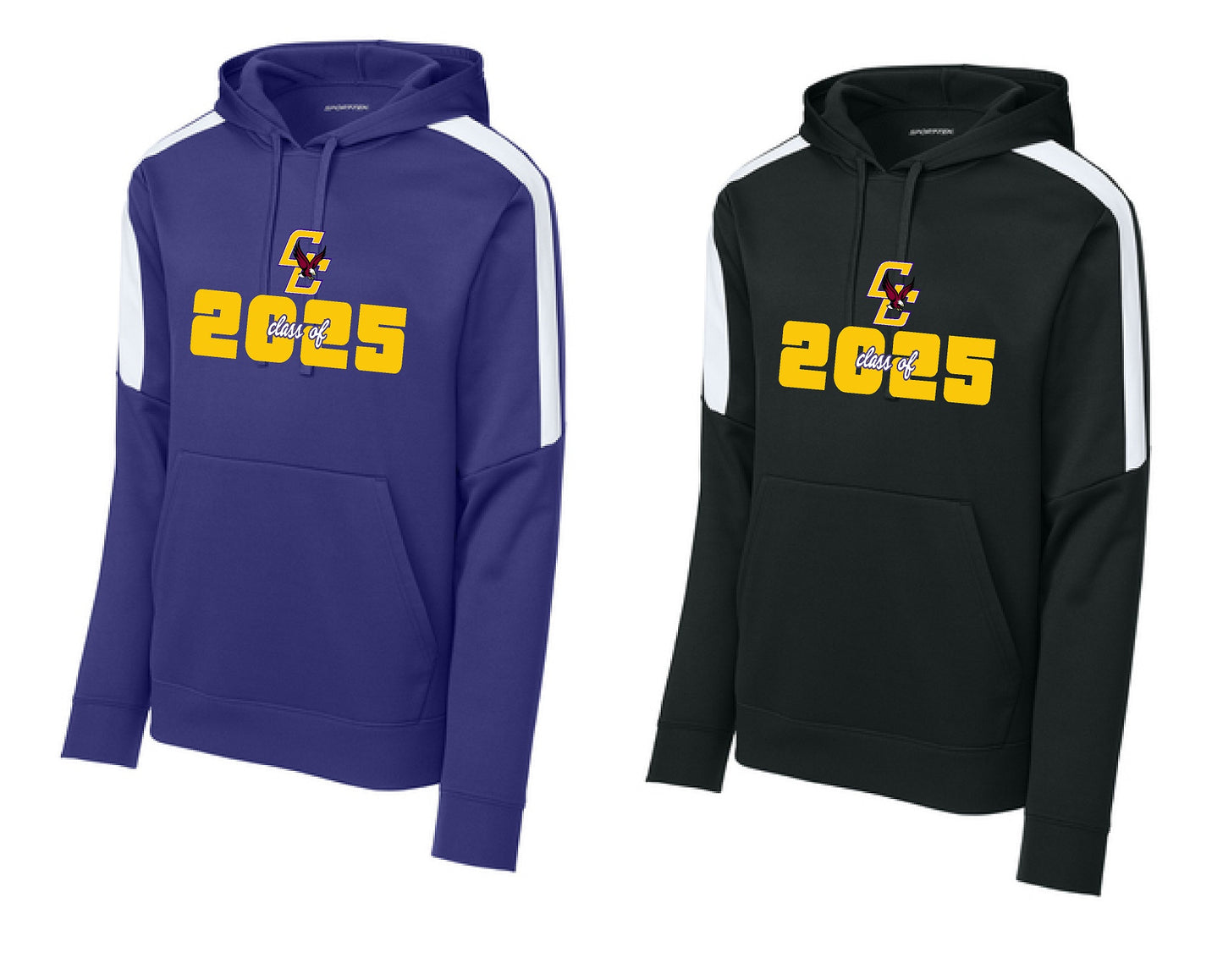Class of 2025 ST255 Hoodie 2