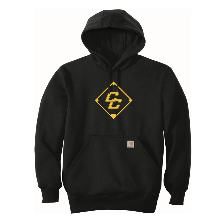 Carhartt® Rain Defender® Paxton Heavyweight Hooded Sweatshirt - Black