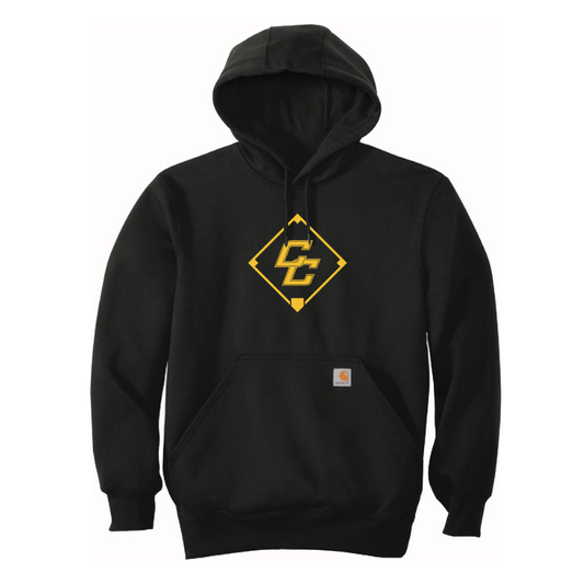 Carhartt® Rain Defender® Paxton Heavyweight Hooded Sweatshirt - Black